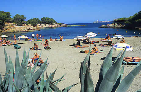 Hotel Brisa Ibiza - Adults Only